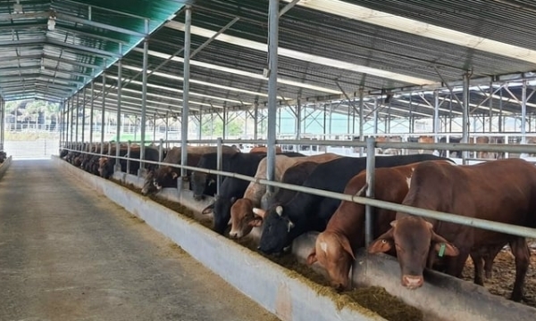 Divergent views on greenhouse gas inventory in livestock sector