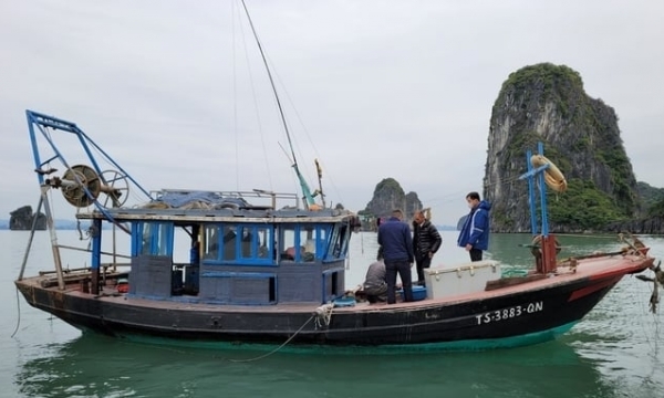 9-month suspended prison sentence for illegal fishing activities