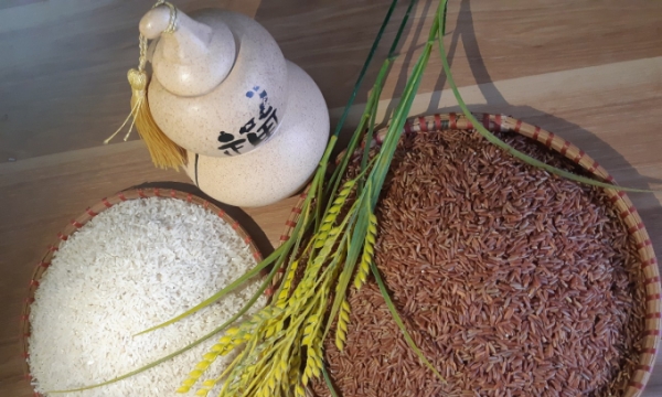 Hải Phòng chọn gạo ruộng rươi tham gia chương trình TOP đặc sản Việt Nam 2020