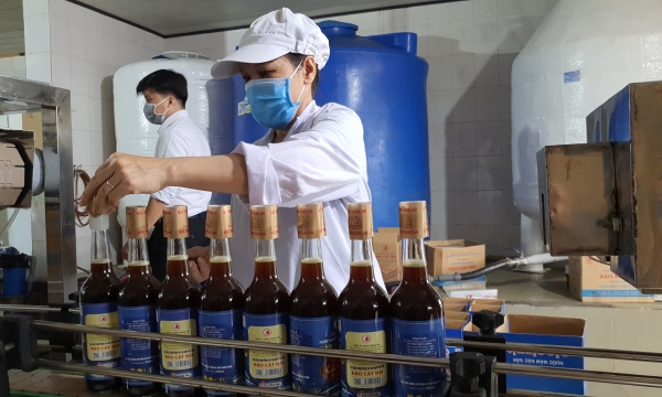 Bring Hai Phong agricultural products to e-commerce platforms