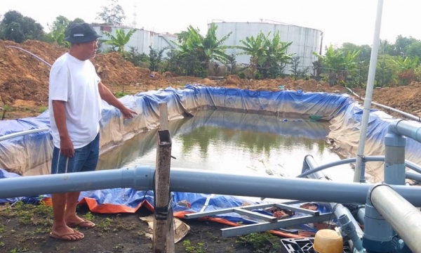 Dịch vụ cấp nước ngọt cứu khát cho sầu riêng
