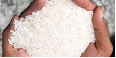 Doanh nghiệp xuất khẩu gạo Ấn Độ kêu trời vì cước vận chuyển cao