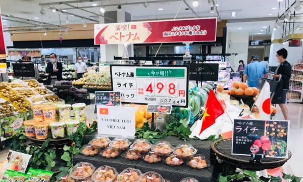 Lô vải thiều tươi xuất Nhật bằng đường biển đã lên kệ siêu thị