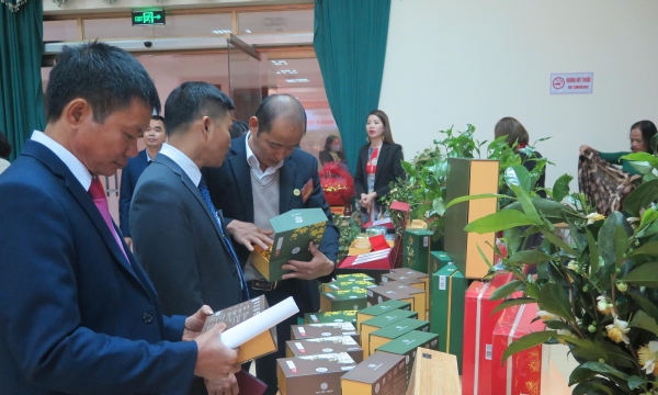 Thái Nguyên: Thành lập, tổ chức Đại hội Chè lần thứ Nhất