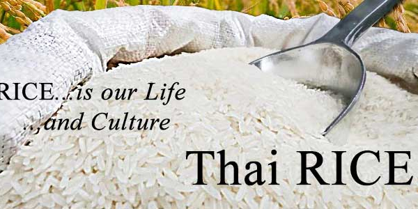 Giá gạo Thái đang cao hơn gạo Việt từ 30-40 USD/tấn