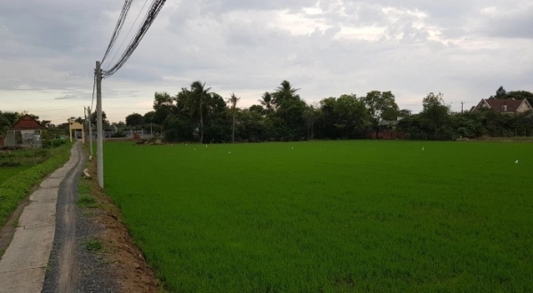 Mekong Delta coastal areas face risks of water shortage
