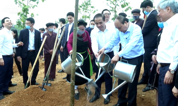 PM Phuc launches tree planting campaign in Tuyen Quang Province