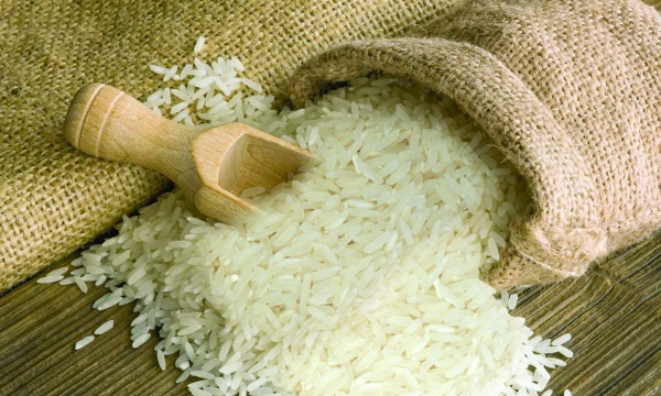 Giá gạo xuất khẩu Việt Nam lại cao hơn gạo Thái Lan