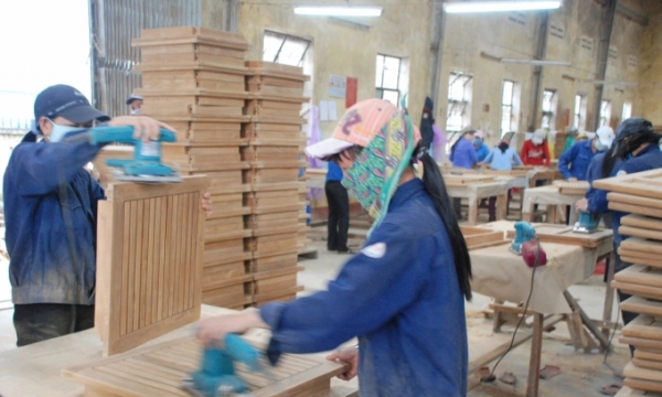 Transparent timber origin key to sustainable export growth