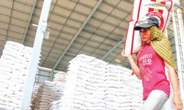 Xuất khẩu gạo Campuchia giảm, xuất khẩu lúa sang Việt Nam tăng