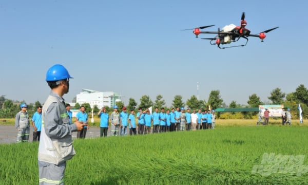 Digital transformation in agriculture increases product value