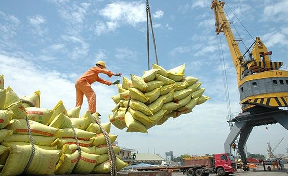 Việt Nam sắp soán ngôi nước xuất khẩu gạo lớn thứ ba thế giới