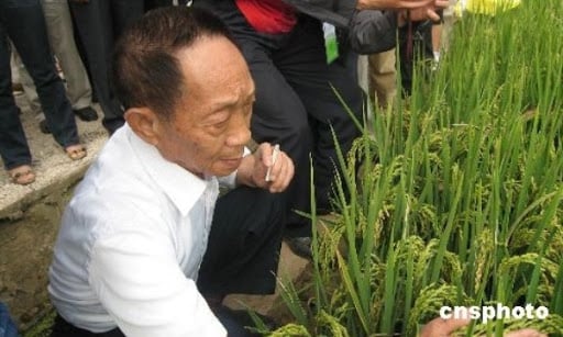 China’s ‘father of hybrid rice’ Yuan Longping dies at 90