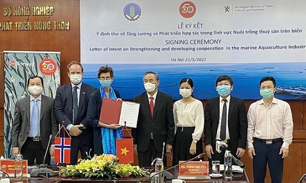 Vietnam and Norway cooperate to develop marine aquaculture industry