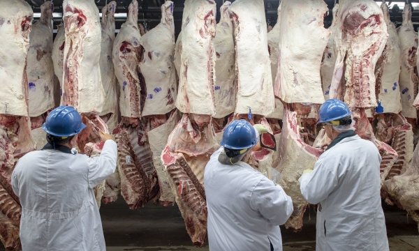 USDA rejects request for faster pork slaughterhouse speeds