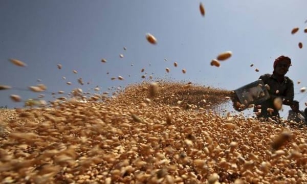 USDA dự báo xuất khẩu nông sản 2021 đạt kỷ lục