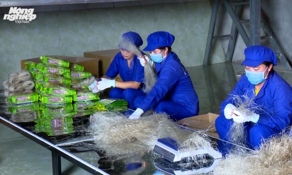 Bac Kan improves quality of OCOP products towards exports