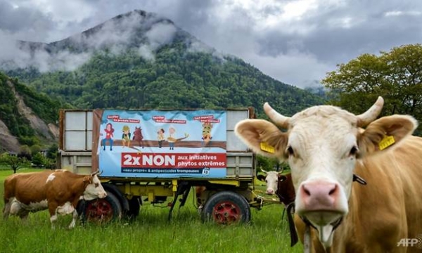 Swiss mired in poisonous row over pesticides