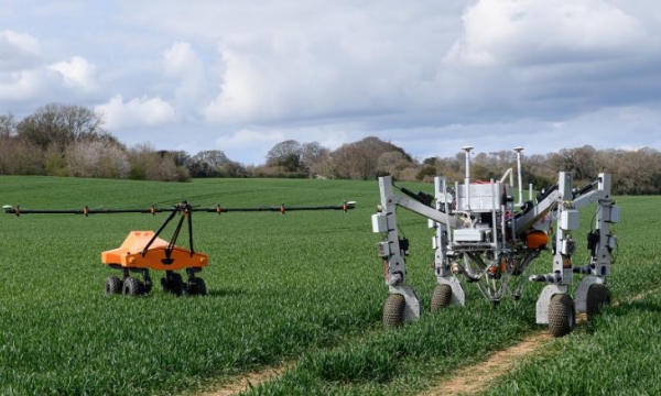 A robot is killing weeds by zapping them with electricity