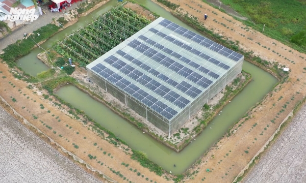 Doing agriculture combined with solar power production