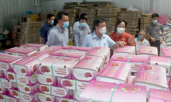 Minister Le Minh Hoan: Calculating for agriculture products in the long run