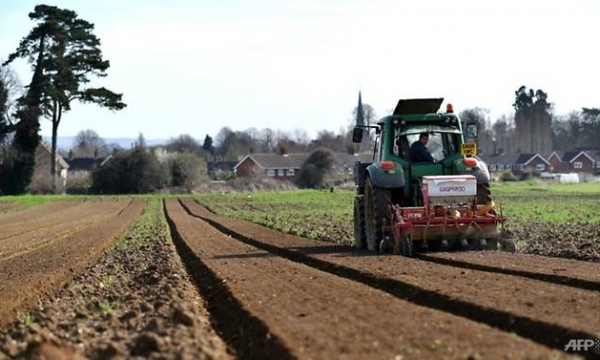 EU tries again to strike deal on greener farming subsidies