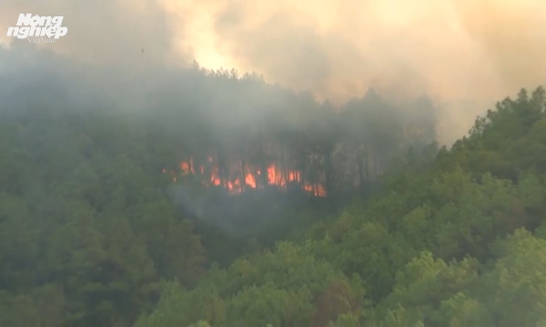 Cháy rừng được khống chế nhưng vẫn còn diễn biến phức tạp