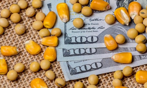Corn and soybean markets explained in 8 simple charts
