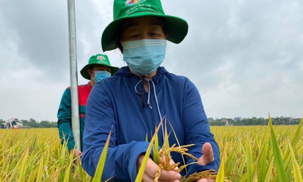 Khát vọng nông nghiệp hữu cơ của Thừa Thiên - Huế