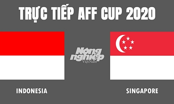 Trực tiếp Indonesia vs Singapore giải AFF Cup trên VTV5, VTV6 hôm nay 25/12