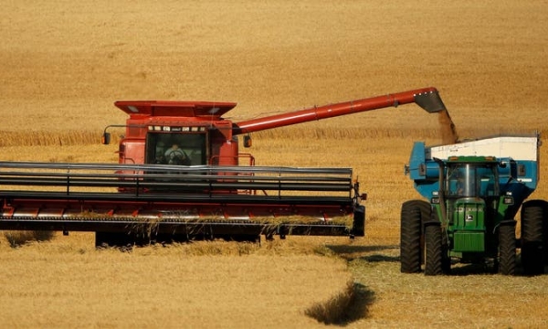 China confirms it has lifted wheat import restrictions on Russia