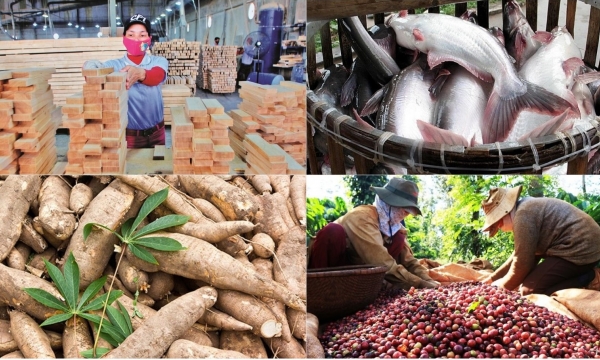 9 mặt hàng nông sản xuất khẩu tăng mạnh giá trị
