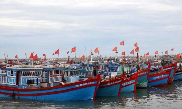 Công bố 74 khu neo đậu trú bão an toàn cho ngư dân