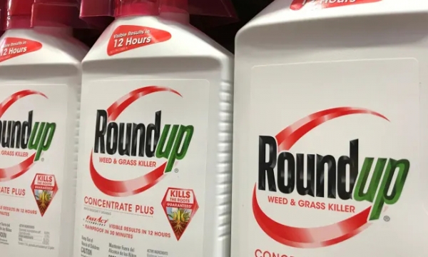 EPA ordered to reassess health risks in Bayer’s weed killer ingredient