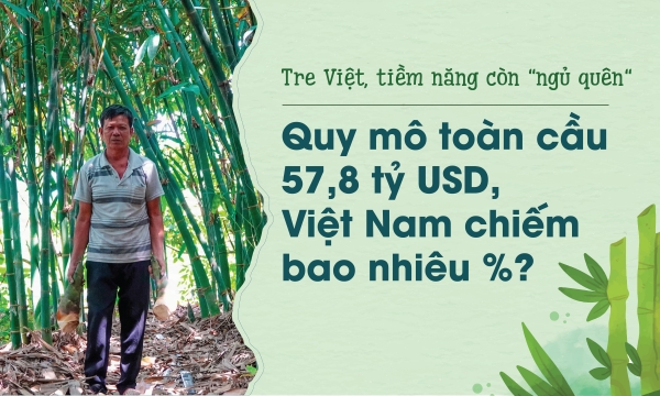 Tre Việt, tiềm năng còn 'ngủ quên': Quy mô toàn cầu 57,8 tỷ USD, Việt Nam chiếm bao nhiêu %?