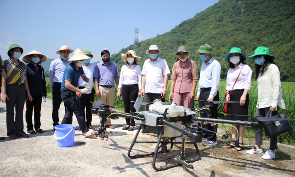 Xây dựng dự thảo tiêu chuẩn cơ sở khảo nghiệm thuốc BVTV bằng Drone