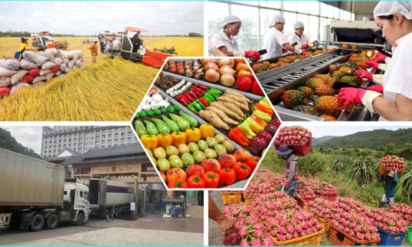 Agricultural exports in 2022 exceed US$ 49 billion