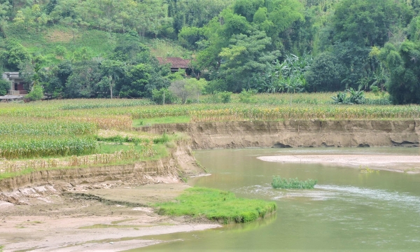 'Hà Bá' sông Năng nuốt hàng chục ngàn m2 đất nông nghiệp mỗi năm