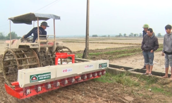 Ứng dụng máy sạ cụm giúp nông dân tiết kiệm cả tạ lúa giống