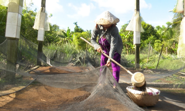Cách Nuôi Dơi Lấy Phân Hiệu Qủa  Kỹ Thuật Dẫn Dụ Dơi Về Chòi   5giay