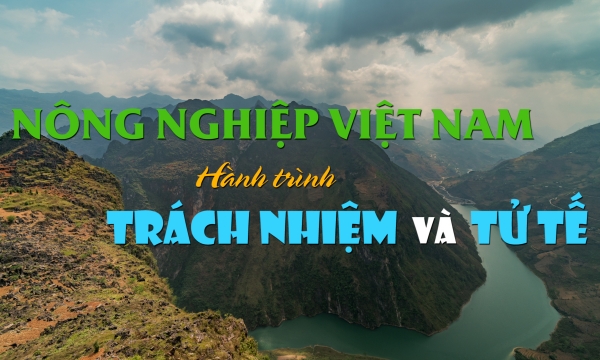 Nông nghiệp Việt Nam: Hành trình trách nhiệm và tử tế
