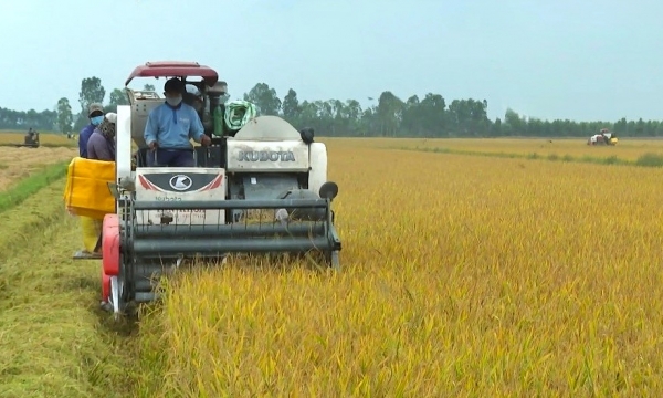 Sóc Trăng đề nghị nông dân duy trì ghi chép nhật ký sản xuất lúa