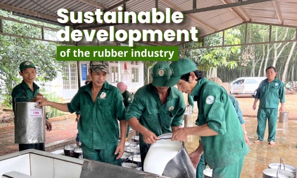 Sustainable development of the rubber industry: Enhancing competitiveness with sustainable company certification