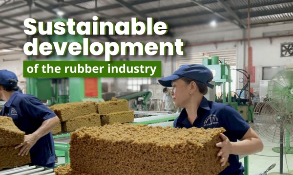 Sustainable development of the rubber industry: The inevitable and mandatory path in international trade