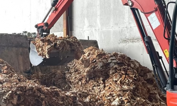 Making treasure out of trash: Firms turn food waste into compost, insect feed