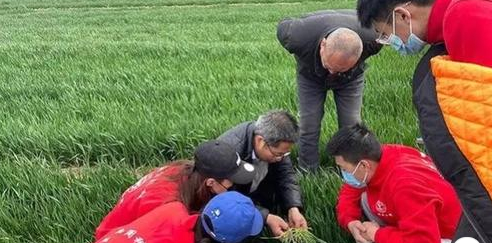 Training course nurtures agricultural innovation