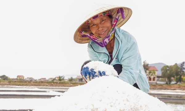 Diêm dân Quảng Phú sản xuất 4.000 tấn muối, thu về khoảng 8 tỷ đồng