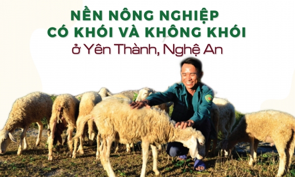[Bài 5]: Người chăn đàn 'con chiên' trên đỉnh Rú Bạc