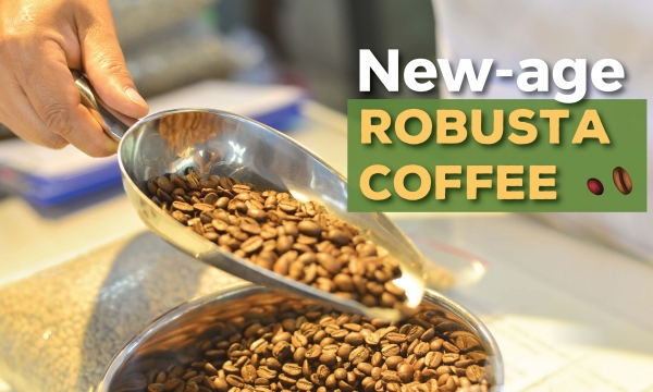Necessary to have a new strategy for Robusta