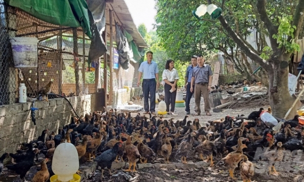 Northern leading livestock province in the efforts of preventing widespread disease transmission